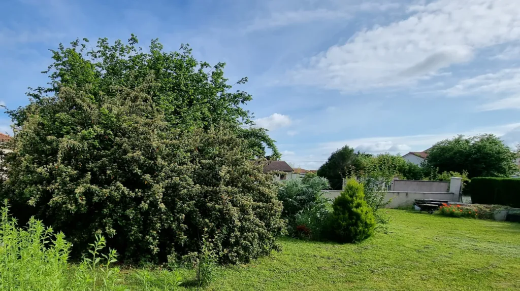 acheter une parcelle au calme à issoire