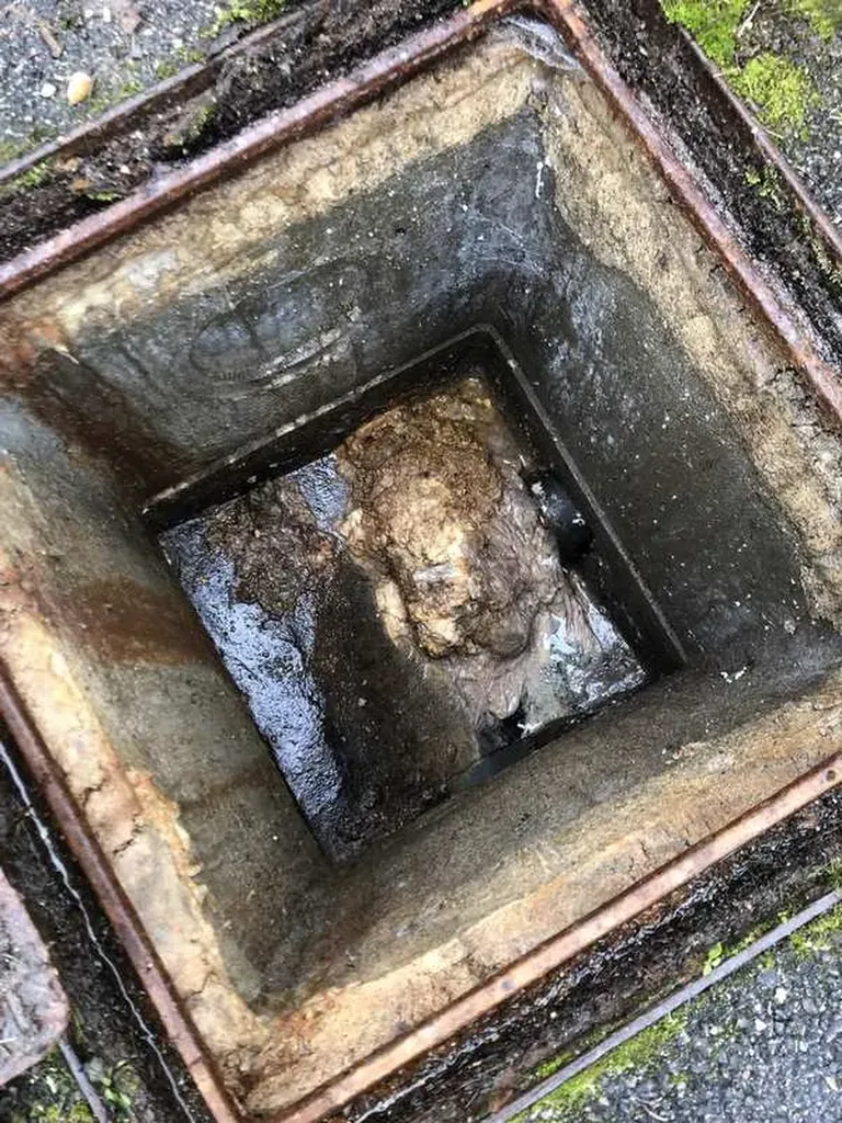 Débouchage de canalisation eaux usées avec nettoyage des regards et curage du réseau à Vaulx-Milieu en Isère