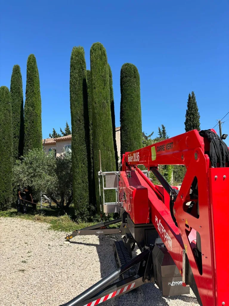 Taille de cyprès par les experts de Carré Vert dans les Alpilles et ses alentours, pour un entretien soigné et des espaces extérieurs élégants