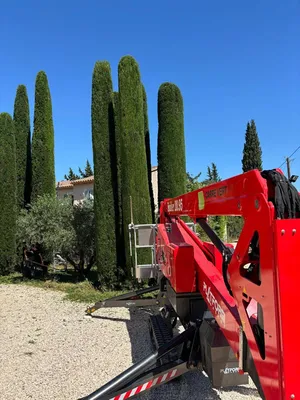 Taille de cyprès par les experts de Carré Vert dans les Alpilles et ses alentours, pour un entretien soigné et des espaces extérieurs élégants