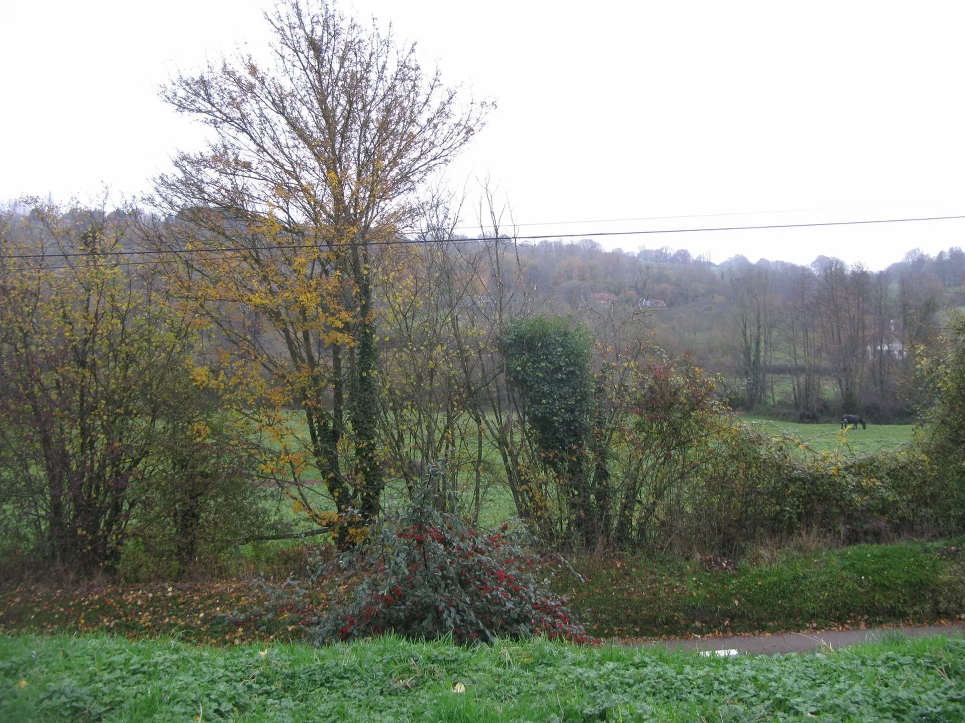 MAISON NORMANDE proche de LISIEUX, Calvados 14