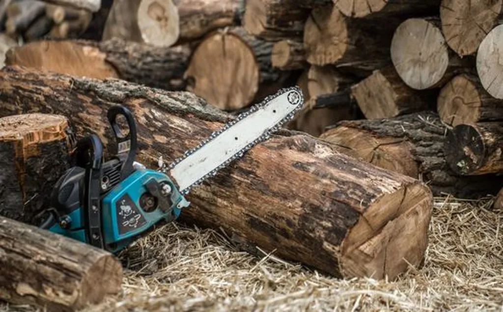 Tronçonneuse