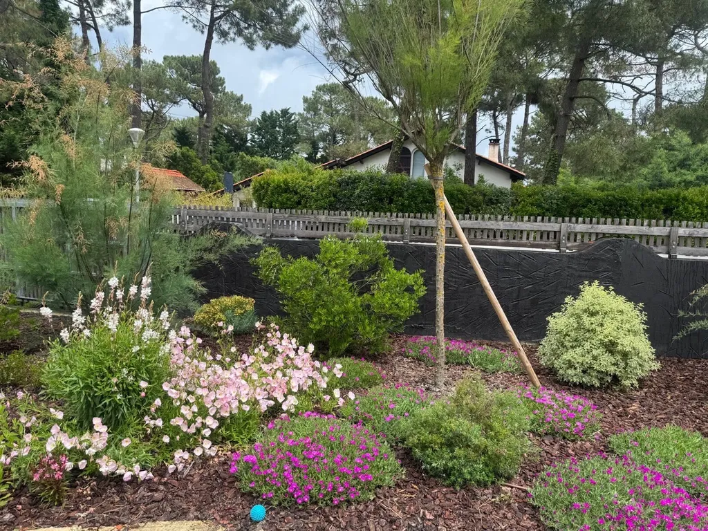 Création de massif paysager avec paillage et plantes variées à Mimizan