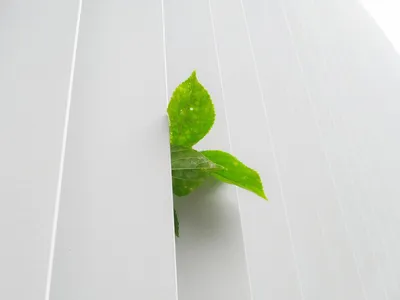 Entreprise RGE Qualibat pour isolation de maison principale avec aide de l'état ou crédit d'impôt, proche Versailles (78) en Ile-de-France