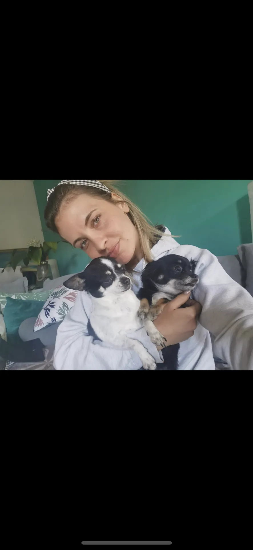 Avis communication animale chien miramas