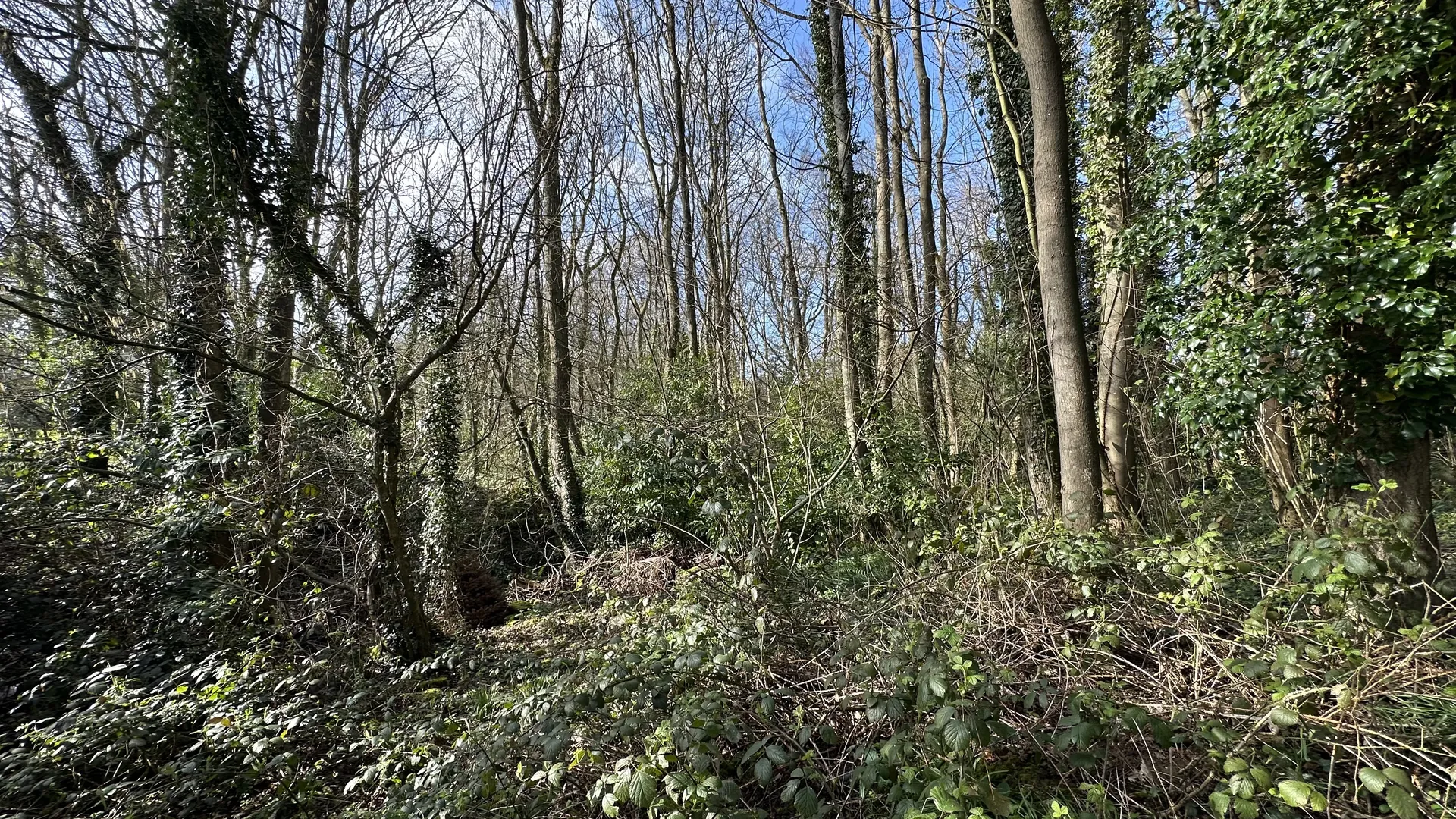 terrain constructible proche mer