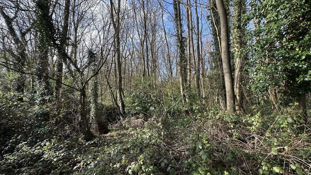 terrain constructible proche mer