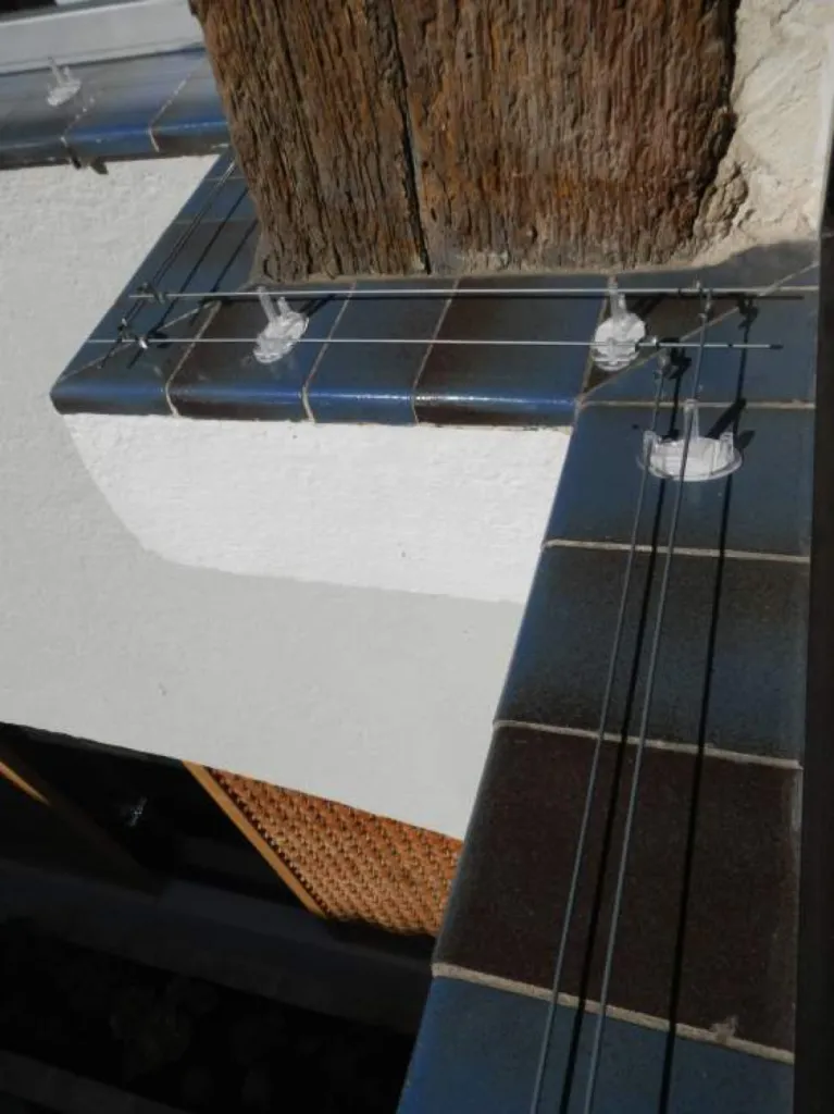 anti pigeon var
