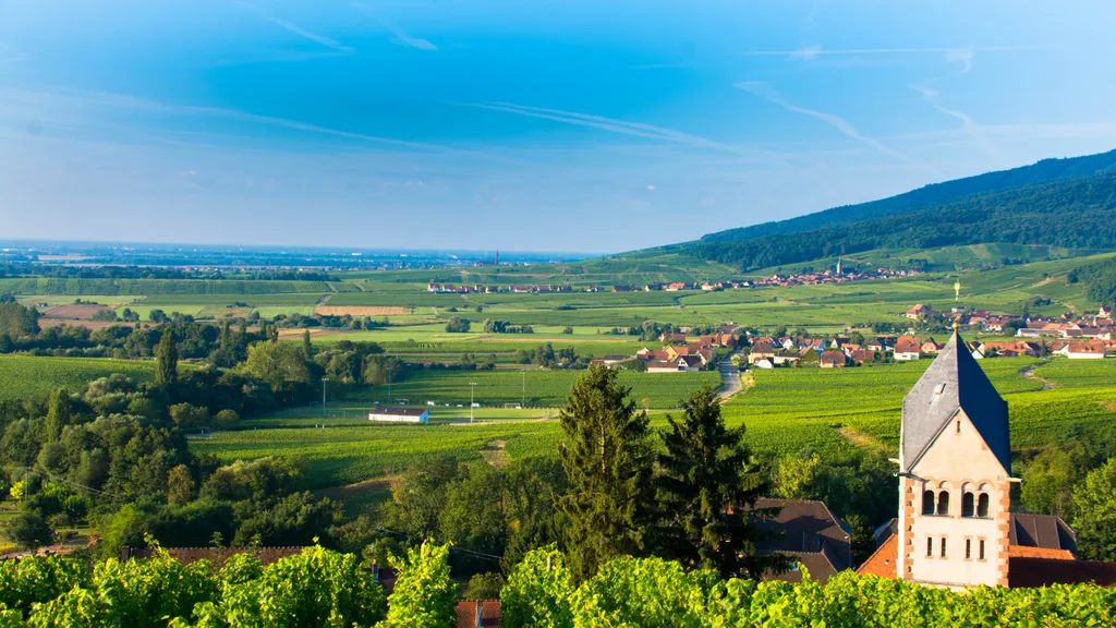 Réception grand-est