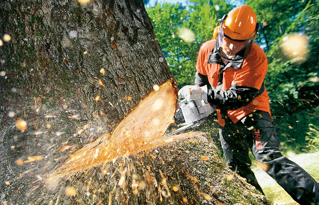 W&G ELAGAGE  Élagage et abattage d'arbre dans le Médoc