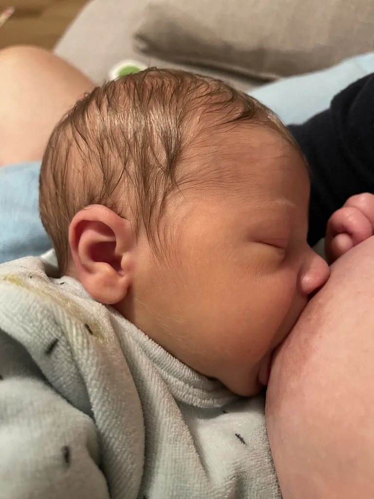 Bienvenue dans l'univers de Laitsentiel d'Opale, un endroit chaleureux, lumieux et plein de douceur pour vous accompagner