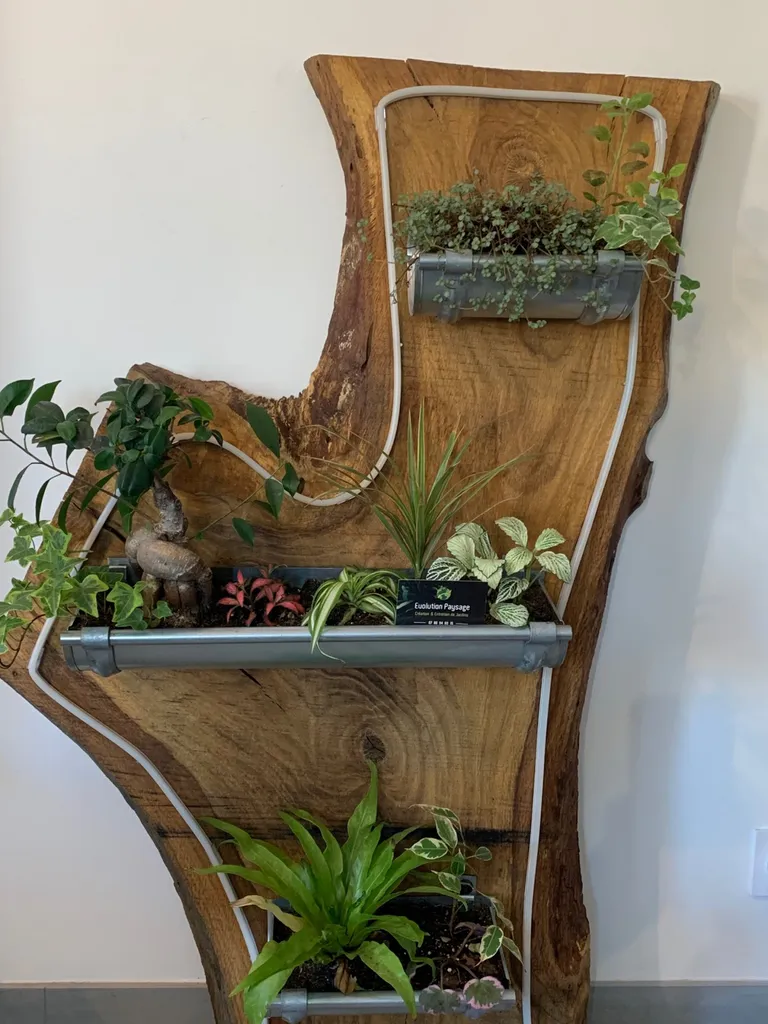 Création de pièces décoratives naturelles pour vos maisons dans les Landes