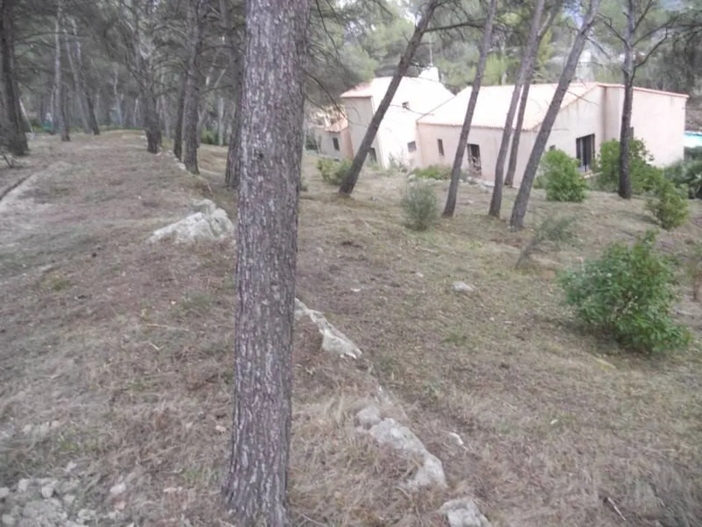 Débroussaillage d'une fôret par Les Jardins de Romain à Trets.