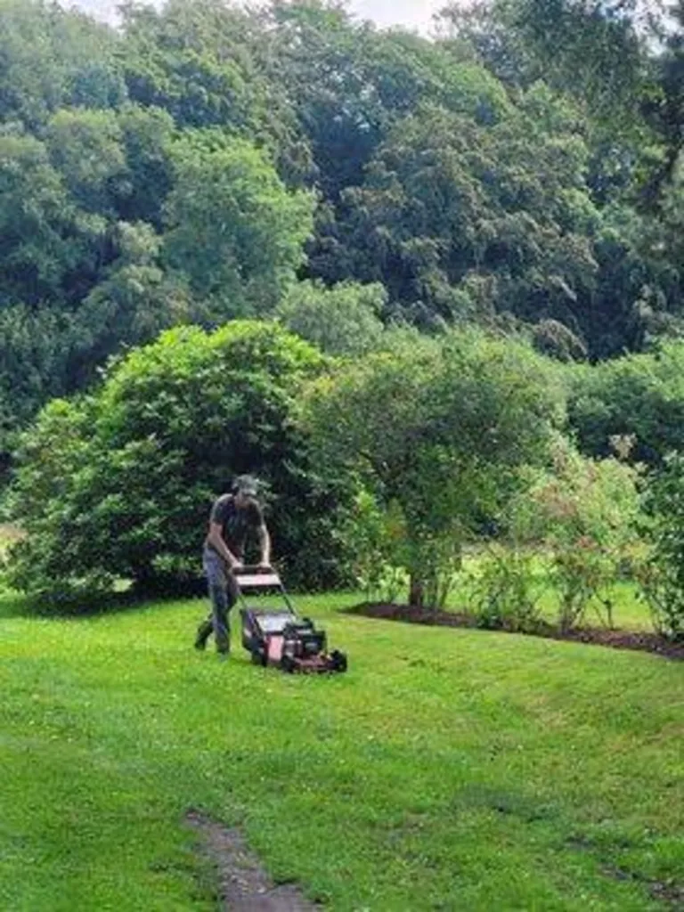 Entretien d'une propriété dans le secteur de Goderville
