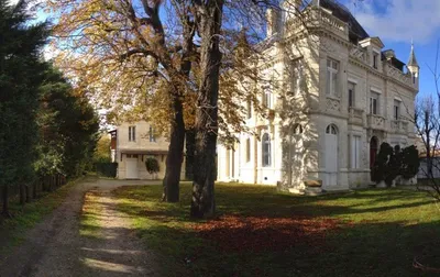 centre de formation canin 