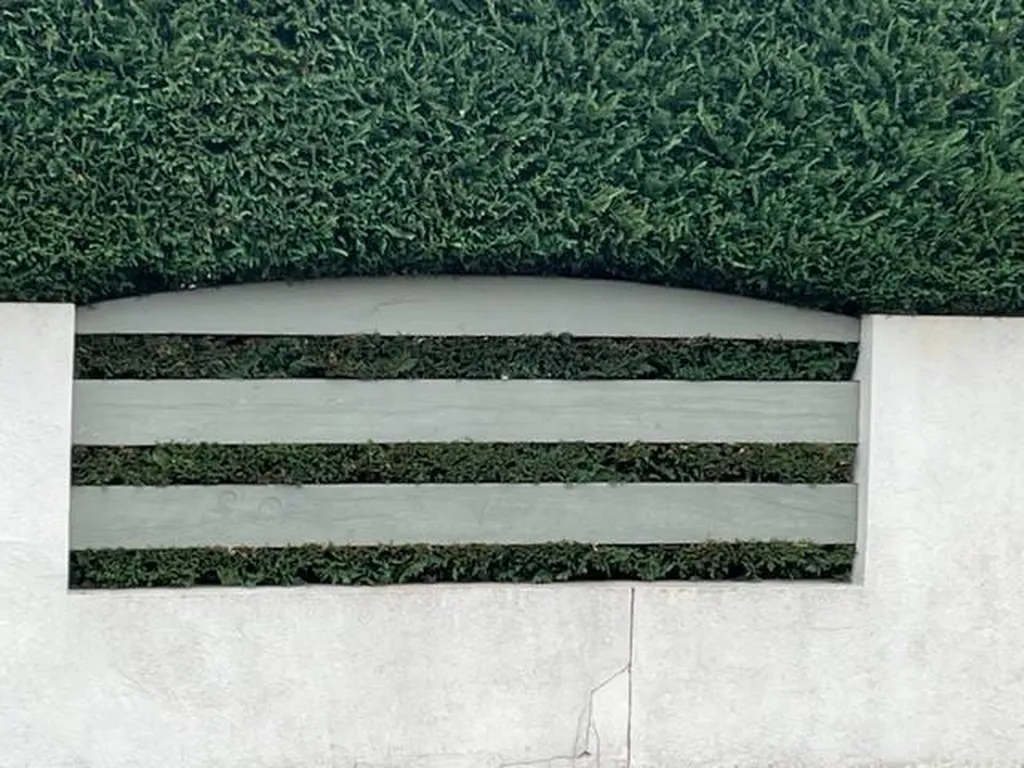 Evolution Paysage pour tailler une haie de cyprès pour une propriété située près d’Ychoux