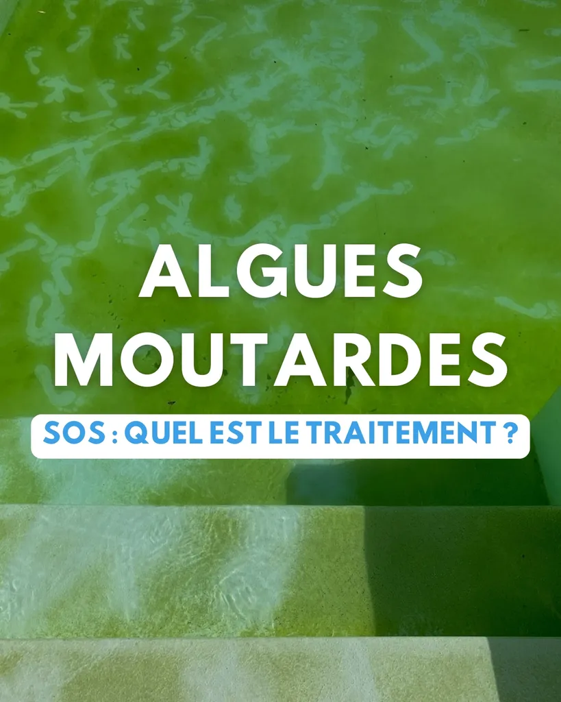 Comment se débarasser des algues moutardes à Cars près de Bordeaux rive droite ?