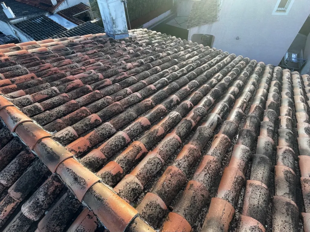 Intervention de couvreur pour un nettoyage de tuiles de toiture de maison près de Aix en Provence 