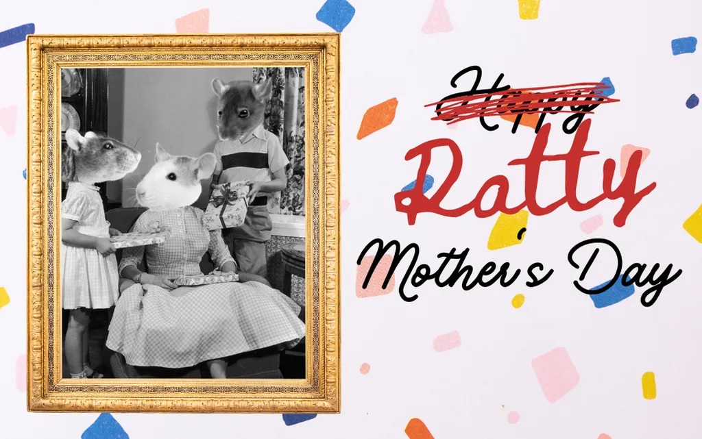 Happy mother's day at Mission: Breakout escape rooms!