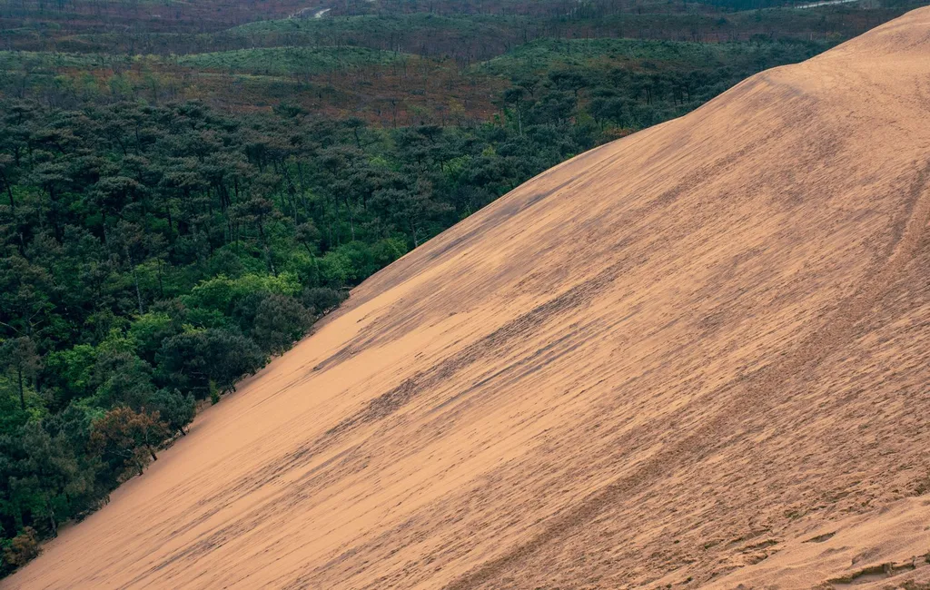Immobilier Pyla-sur-Mer : acheter près de la dune du Pyla