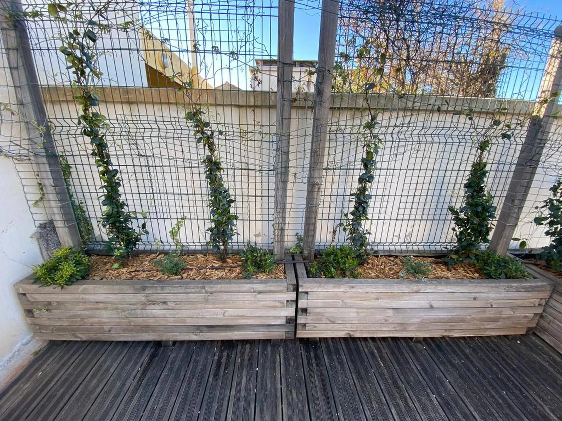 Création d’un toit terrasse végétalisé à Aix-en-Provence 13090, pour un espace extérieur unique et respectueux de l’environnement