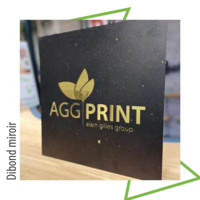 VOS VITRINES DE NOËL AVEC AGG PRINT