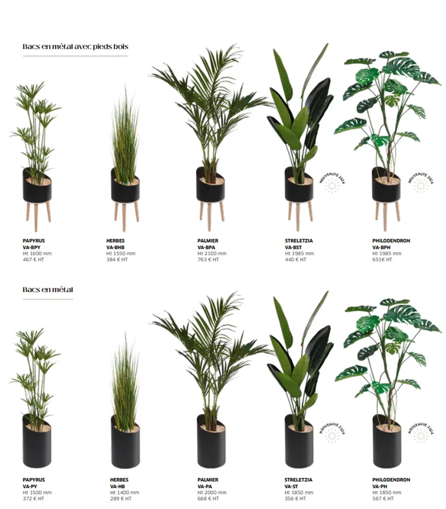 Choix de plantes pour bureaux