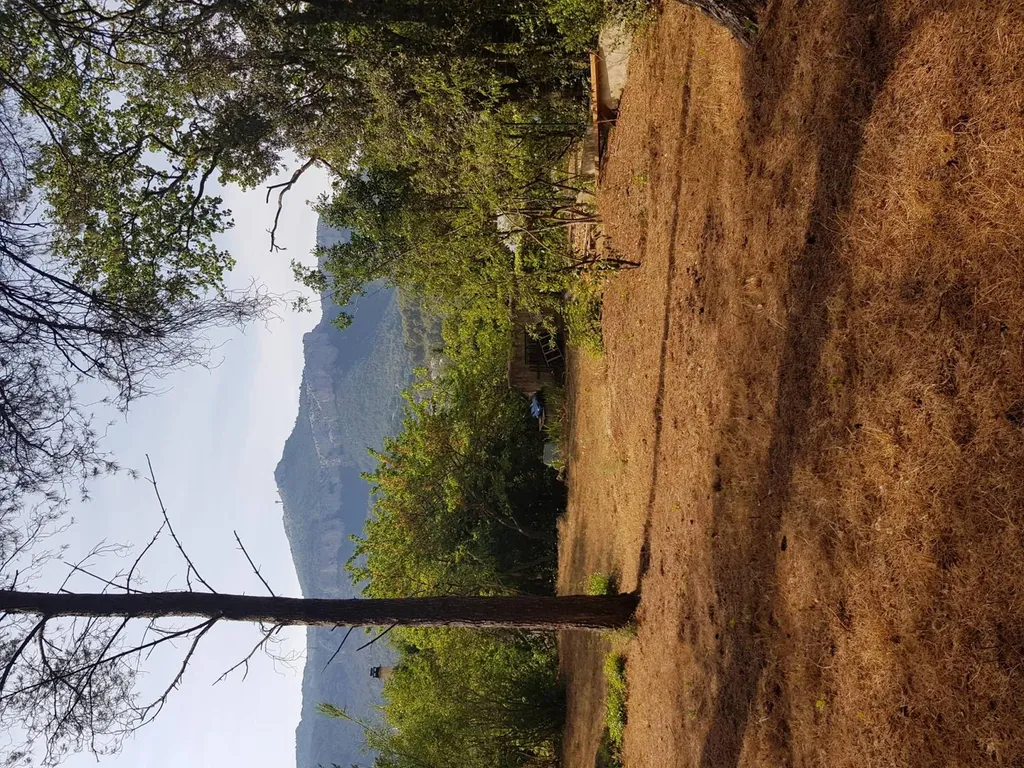 Vente terrain dans le var