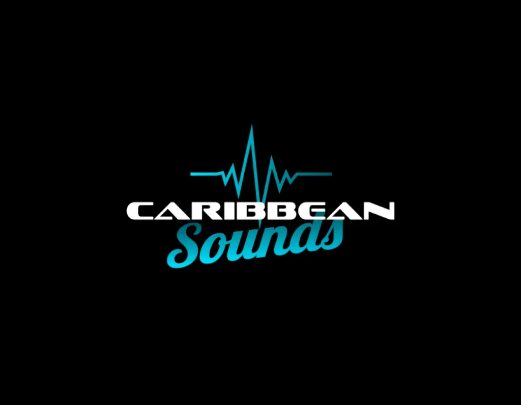 Animation et sonorisation des marchés de noël dans le Sud-Ouest