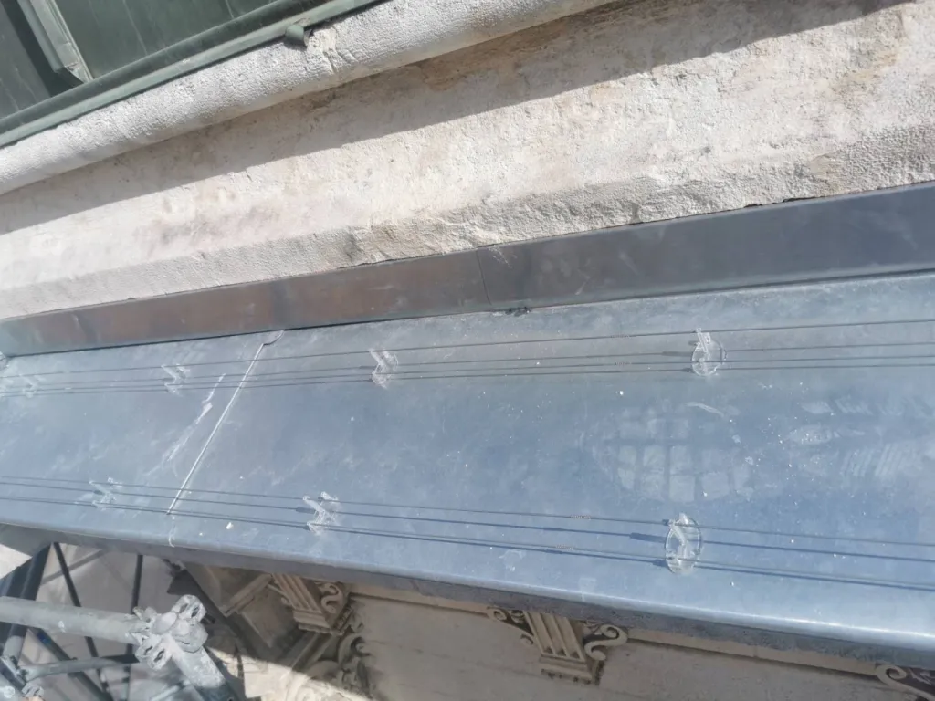 fils electriques anti pigeons à monaco 98000