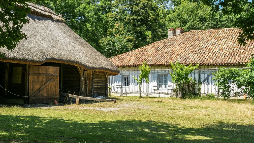 Rénovation globale d'une maison vigneronne à Latresne : moderniser un patrimoine en pierre sans perdre l'âme du bâti ancien