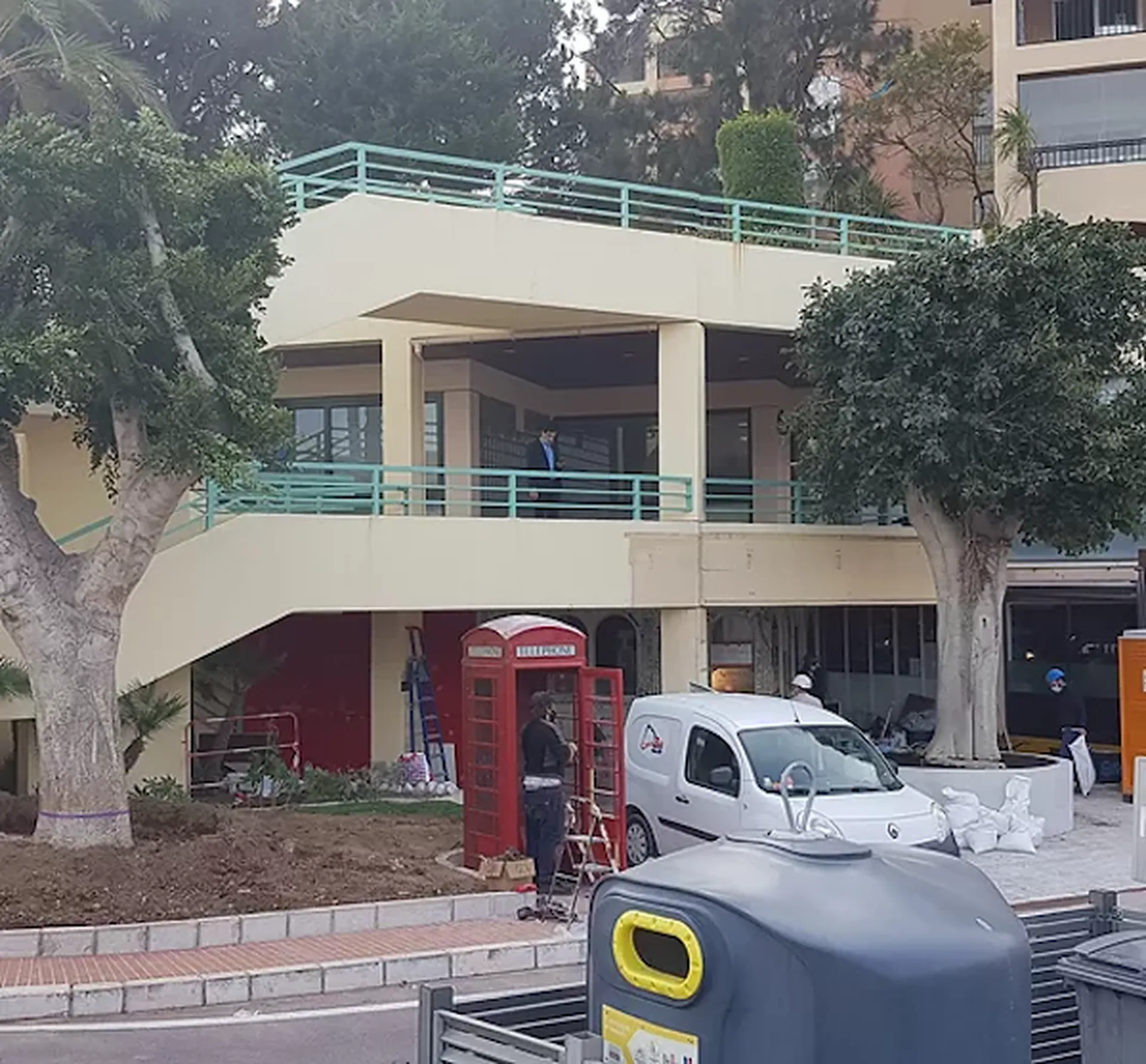 Arbres plantés sur le port d Fontvieille à Monaco