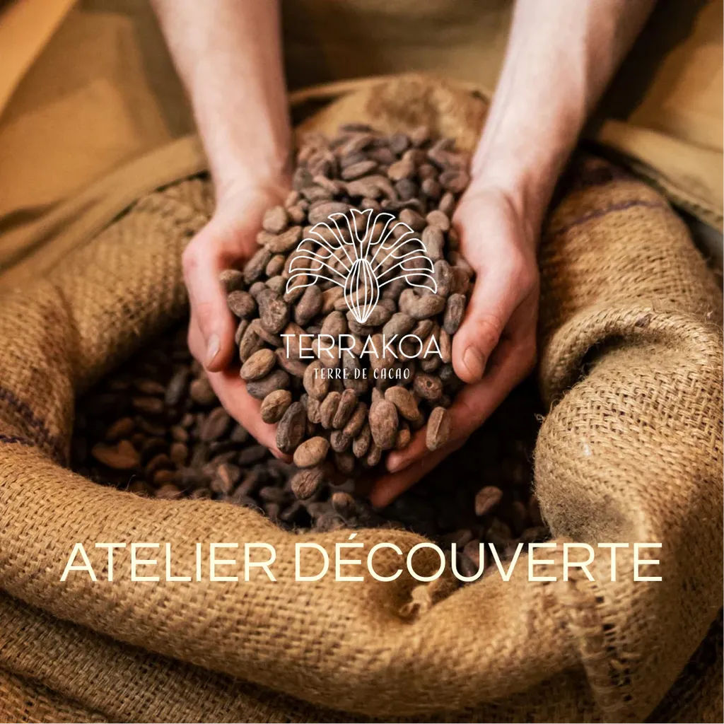 Atelier découverte chocolat Terrakoa à Marseille dégustation chocolat bean-to-bar cacao Madagascar expérience sensorielle chocolat