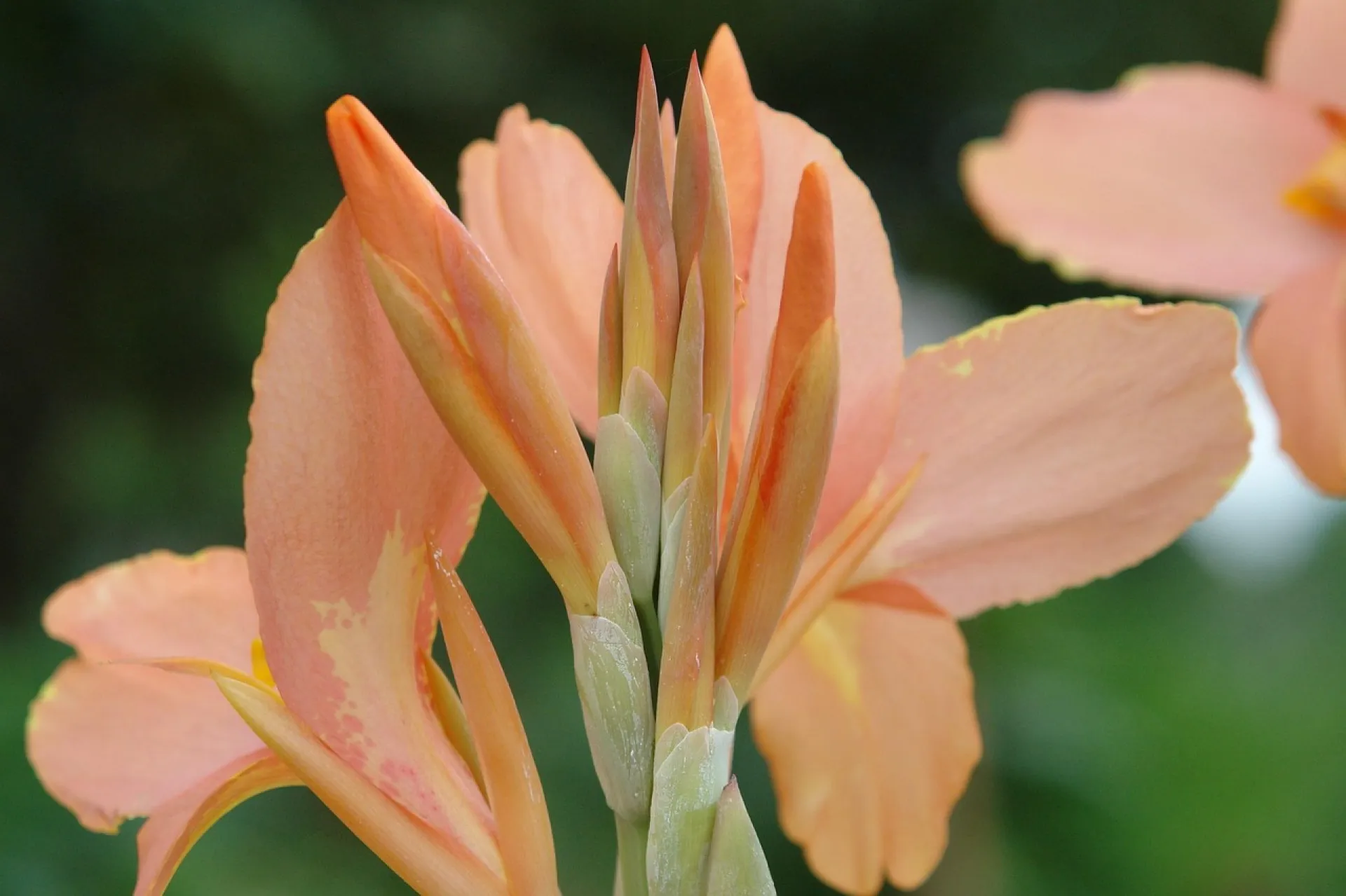 Traitement pour ne plus être jalouse avec un psychologue à Paris