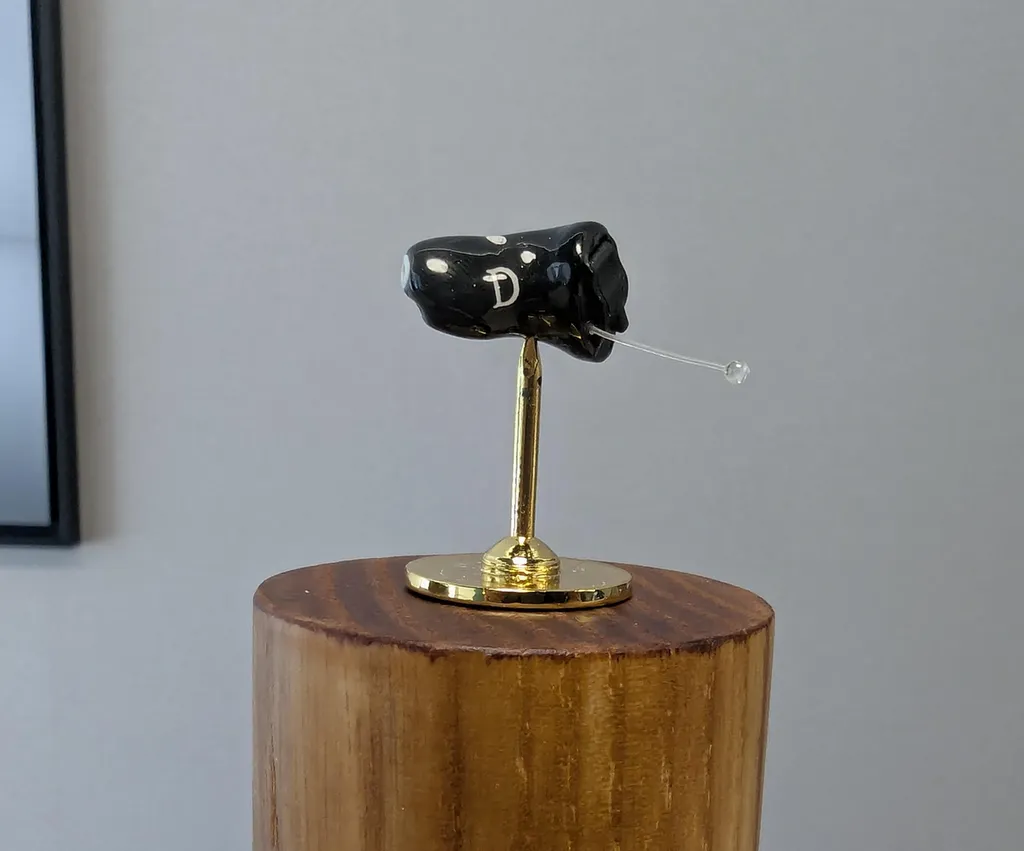 Appareil Auditif Invisible