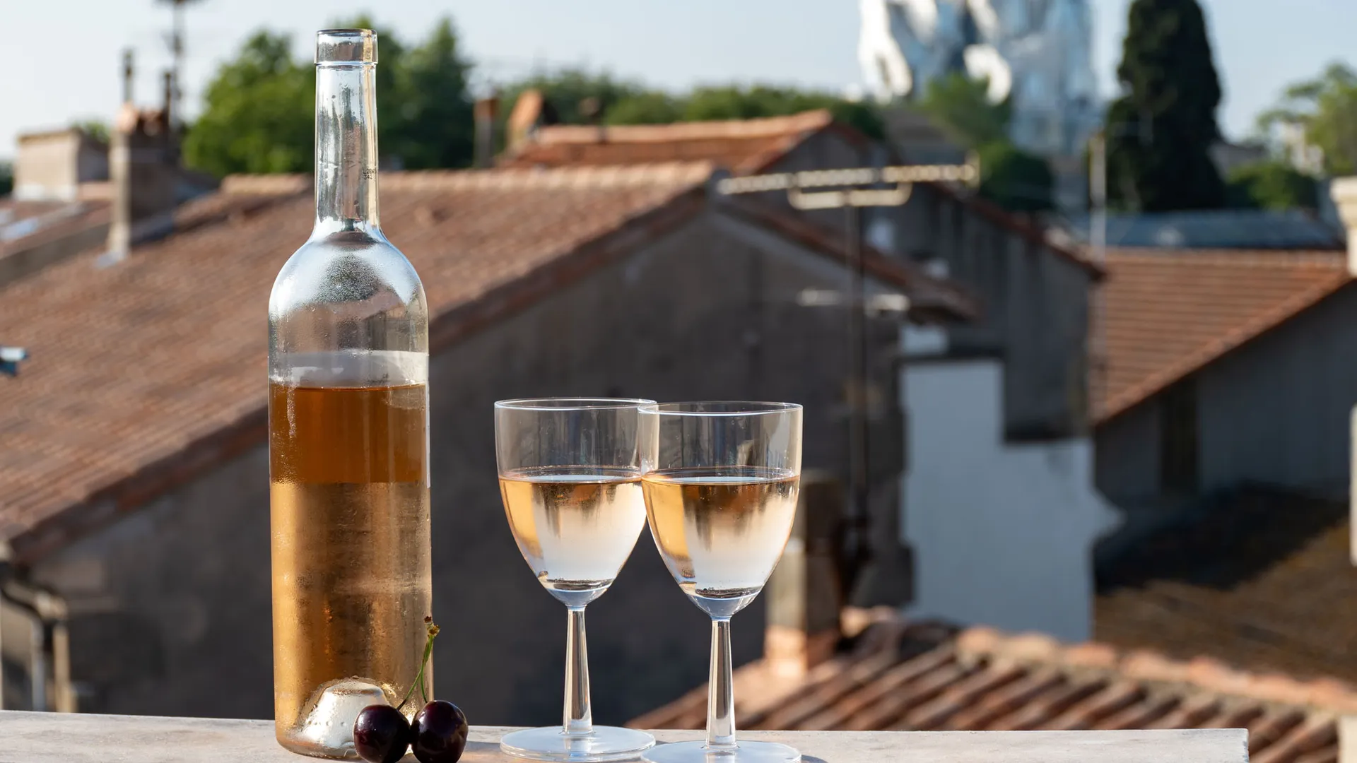 Circuits œnologiques et gastronomiques près de Thecamp Hotel à Aix-en-Provence