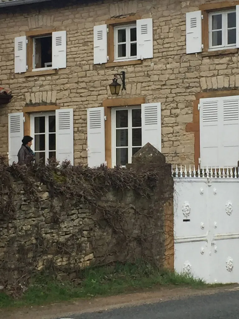 Volet battant persienne en bois à Pommier dans le beaujolais