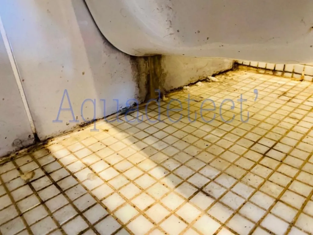 Fuite au niveau du WC suspendu dans l'appartement du 2ème étage