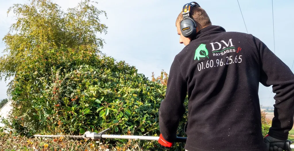 Taille de massifs et de haies à Melun et en Seine-et-Marne