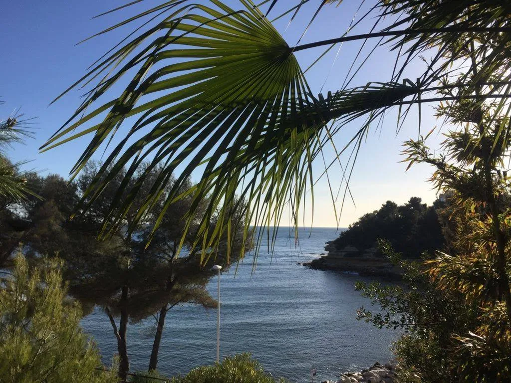 Réserver mon chauffeur privé VTC entre l'aéroport de Marseille Provence et Carry le Rouet