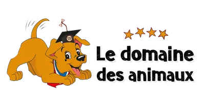 cv de paule lafon Le domaine des animaux