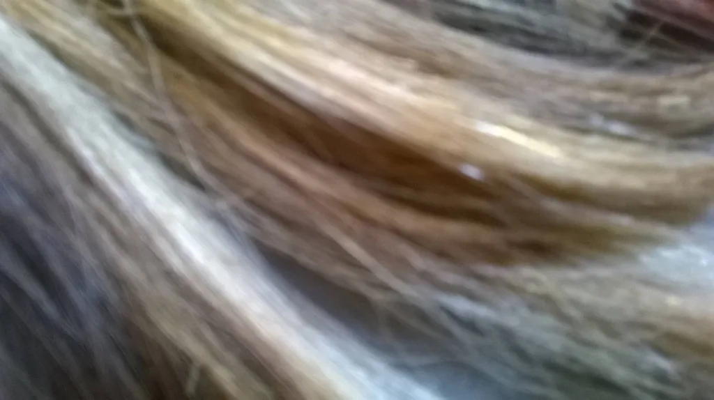 extensions Marseille