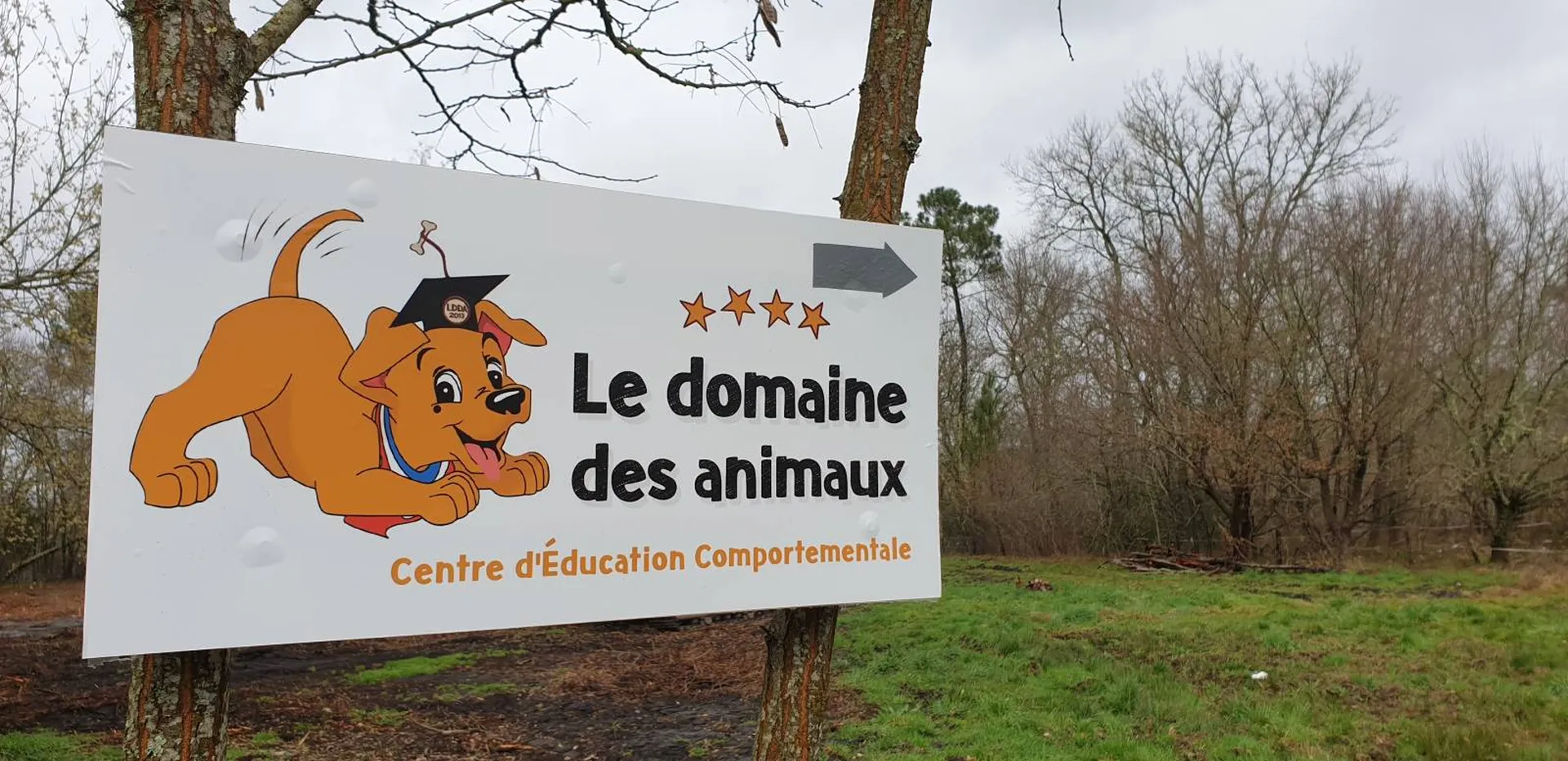 Le domaine des animaux 