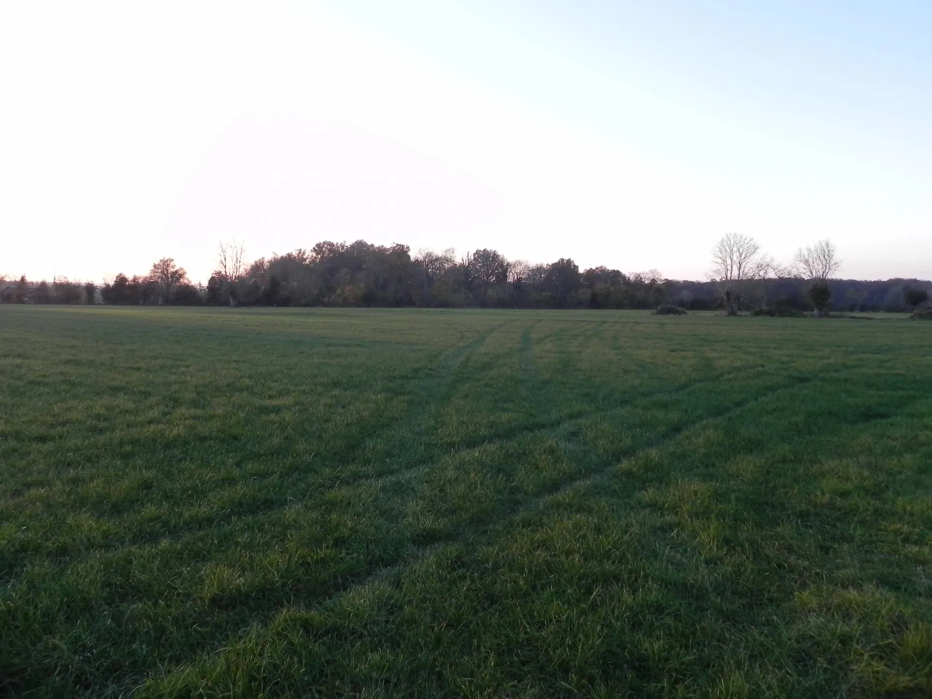 CALVADOS (14) - SUD PAYS D'AUGE - Région LIVAROT : Propriété avec 19 ha de terrain agricole