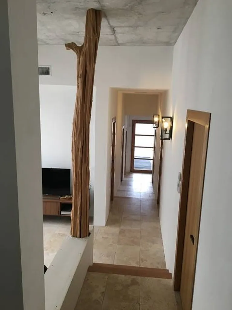 liane de décoration dans séjour Marseille scellement au plafond