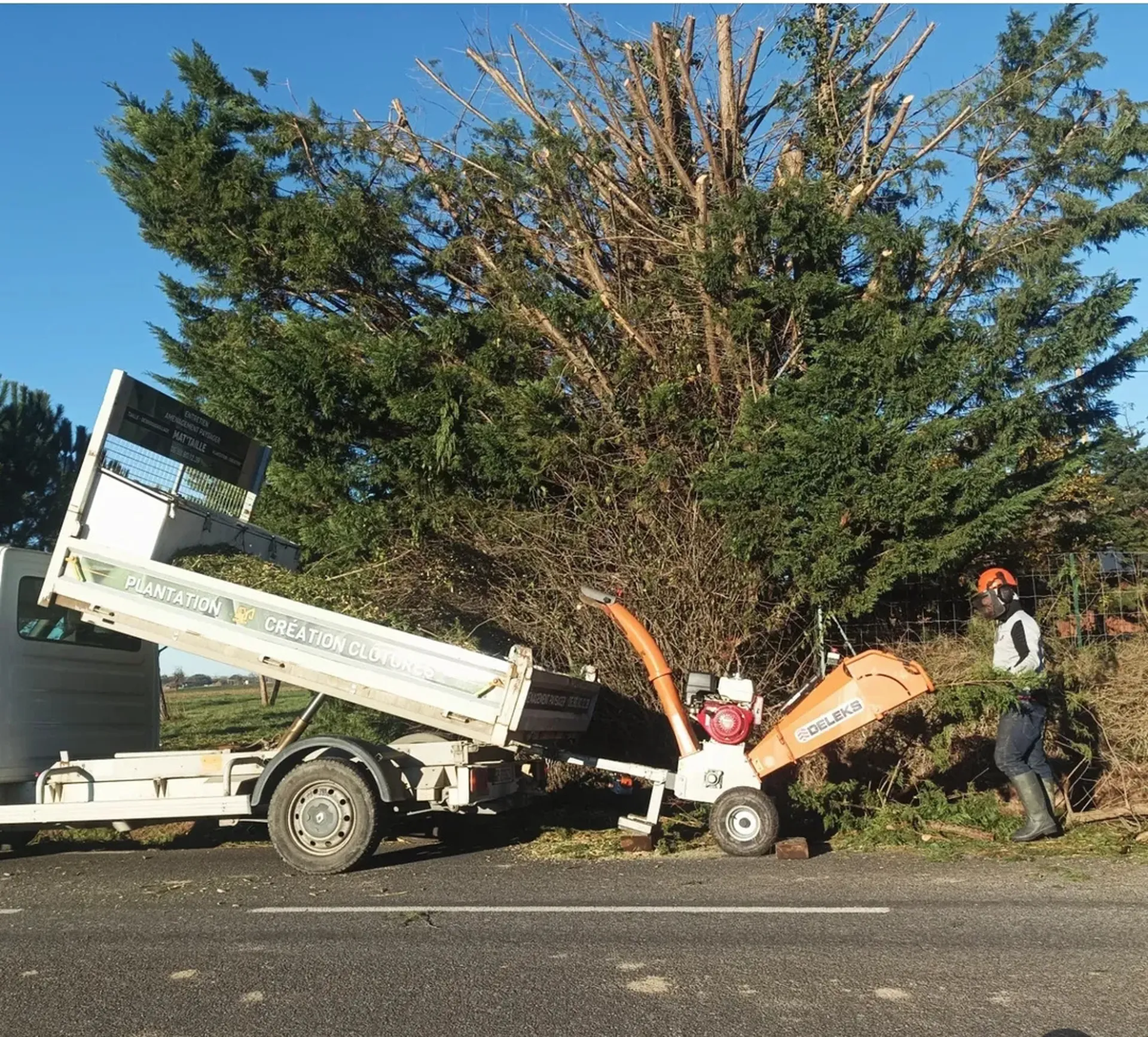 Grosse taille de thuyas à St julien sur Garonne près de Carbone.