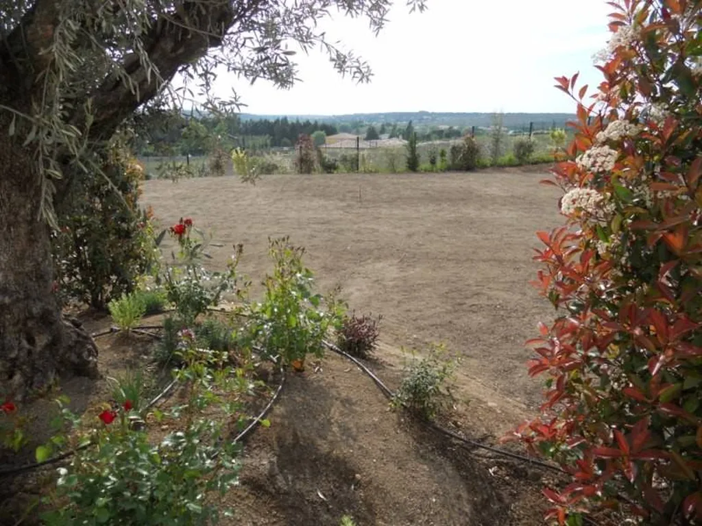 Gazon de placage réalisé par Les Jardins de Romain.