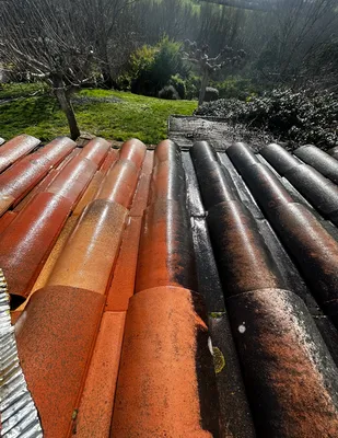 Nettoyage d'une toiture en tuile avec démoussage et traitement hydrofuge pour une maison plain pied à Toulouse