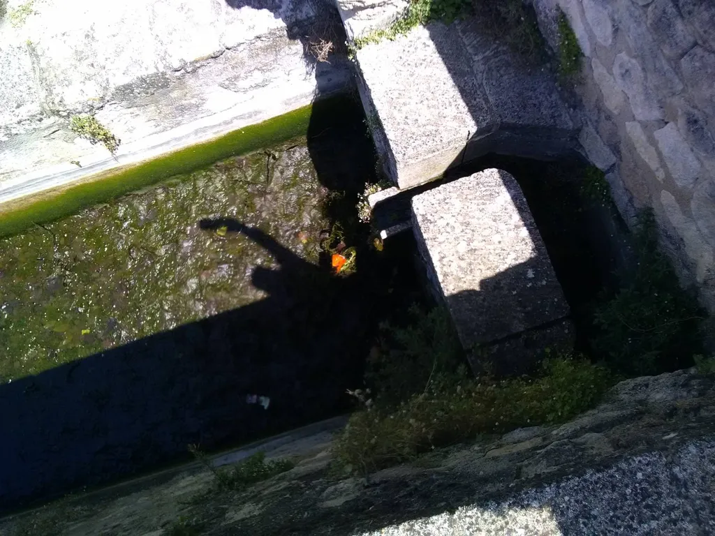 Intervention bassin aquatique La Roque d'Anthéron