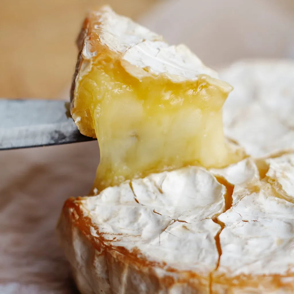 Votre Nouvelle Fromagerie authentique sur Plan de Campagne entre Aix-en-Provence et Marseille